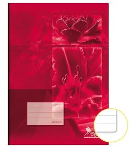 Schularbeitsbuch 464 Economy A4 - 60 Blätter